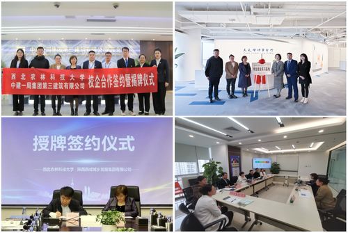 人文社會發(fā)展學院人力資源服務(wù) 融合人文關(guān)懷與專業(yè)管理的創(chuàng)新實踐