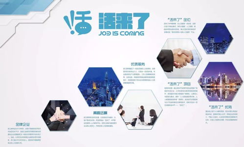 2019中國紹興企業(yè)人力資源服務(wù)博覽會 群橋集團引領(lǐng)行業(yè)新趨勢